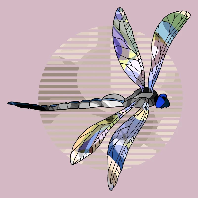 Libellule
