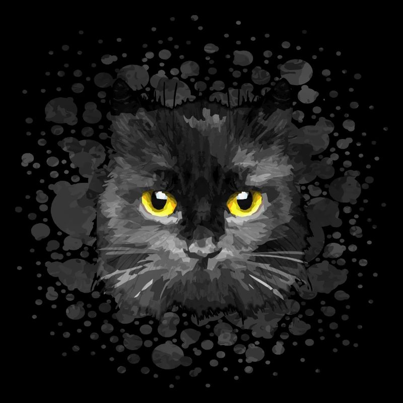 Katze