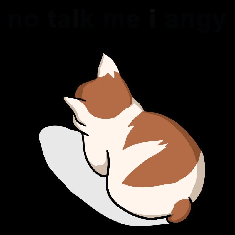 pas de parler moi je mème chat en colère