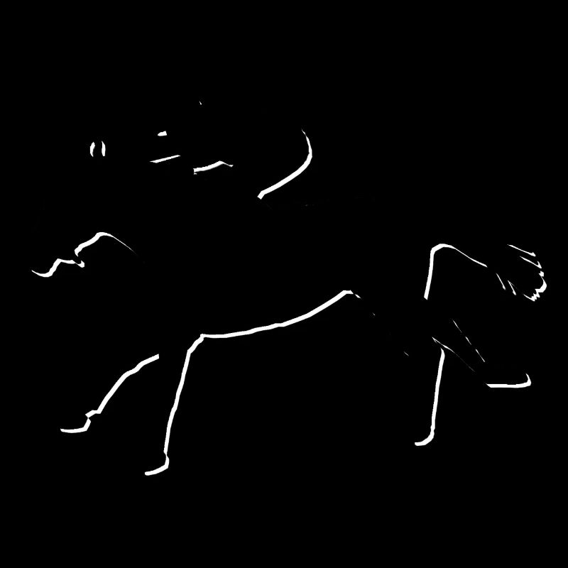 Pferd BLACK/white