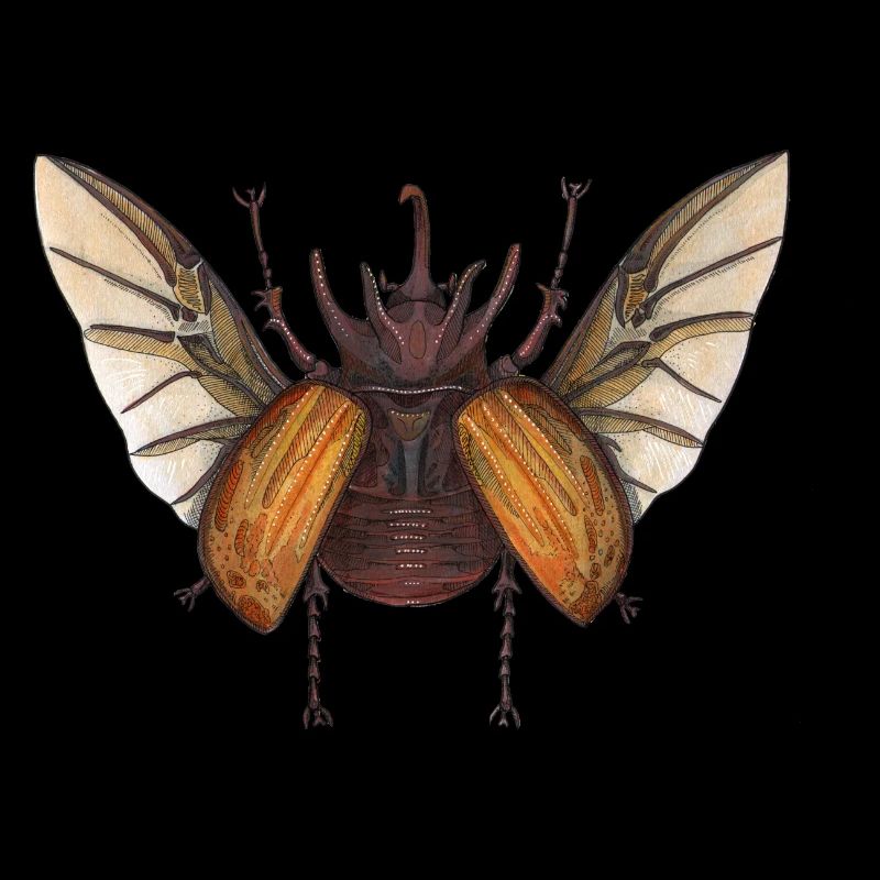 Big Beetle Stag - fauve géant de coléoptère brun