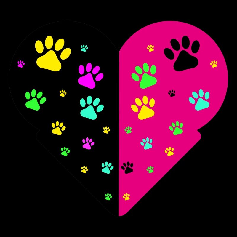 cat paws