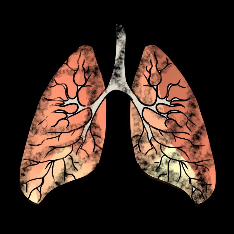 Lung bronchi