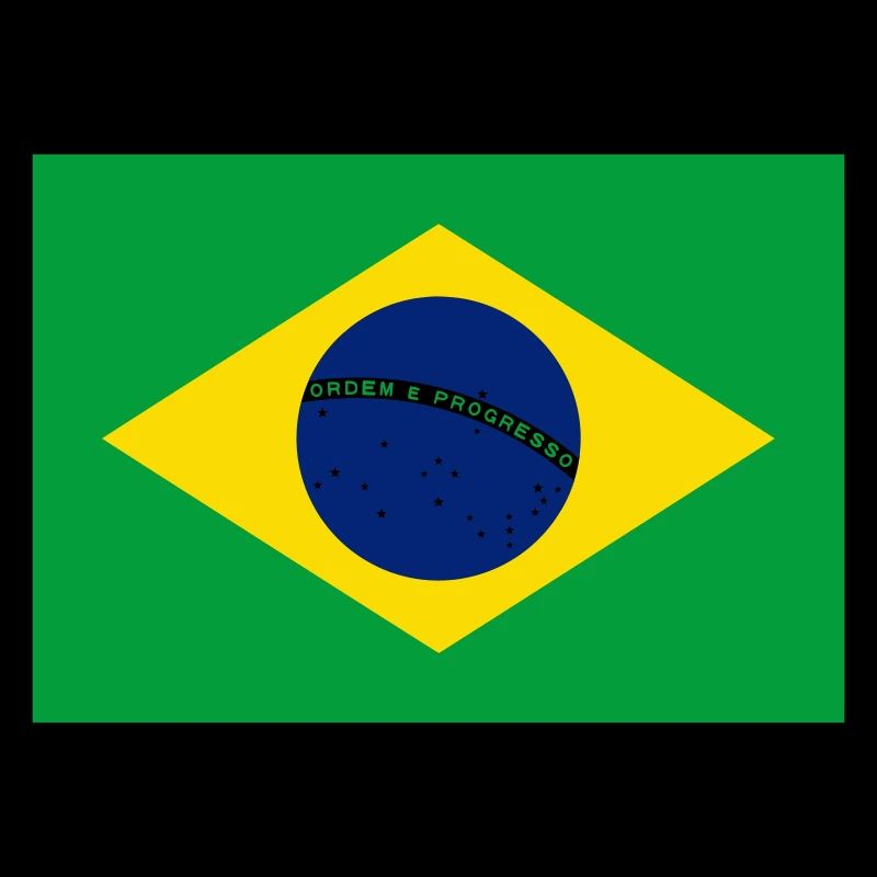 Brazil flag / Drapeau Brésil