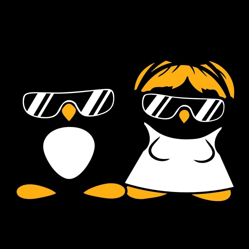 Deux Pingouins DJ Paire Casque Lunettes de Soleil Équipe