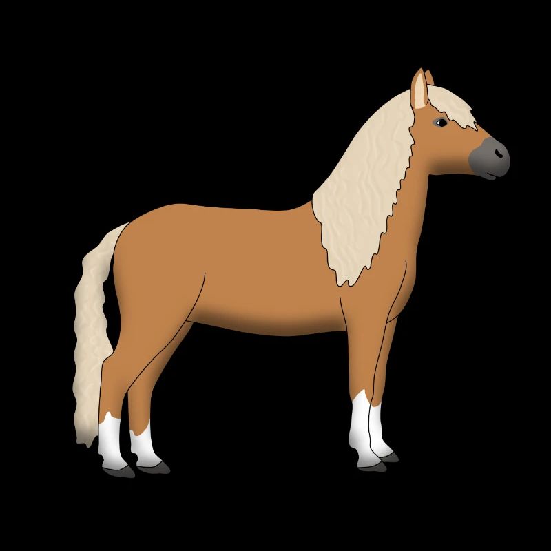 Haflinger