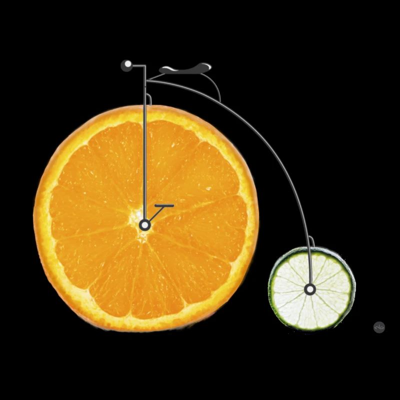 Fruit Bicycle