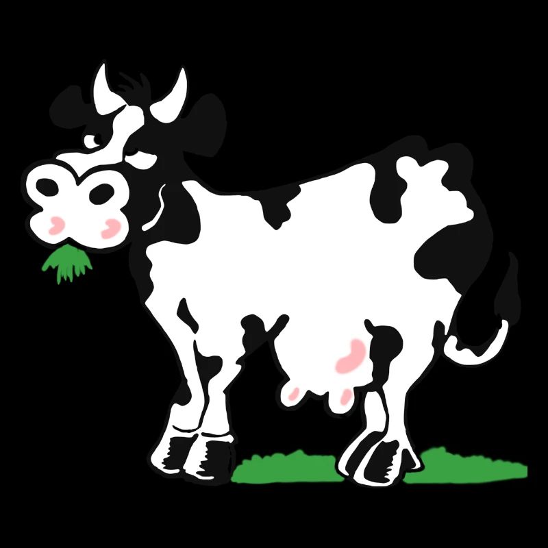 Mucca