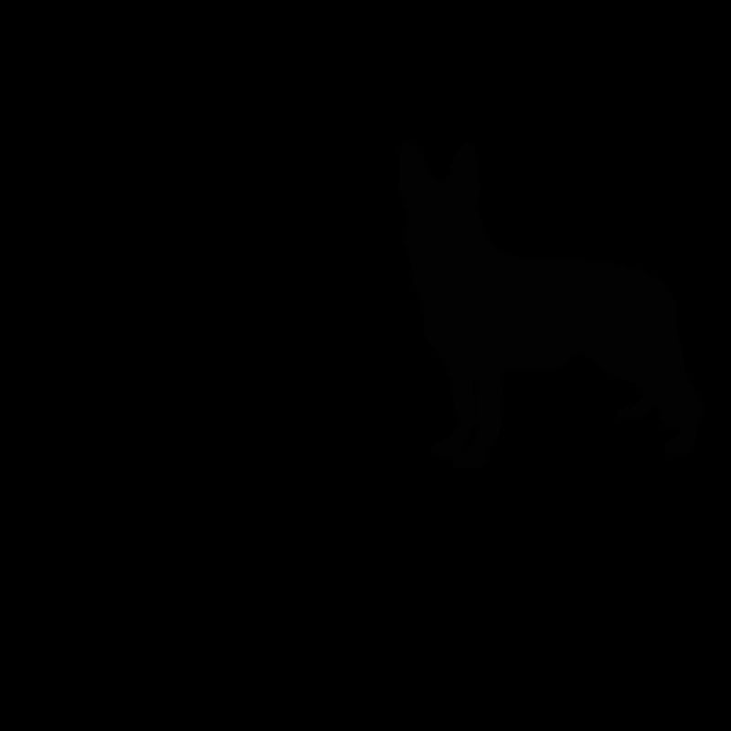 Deutscher Schäferhund