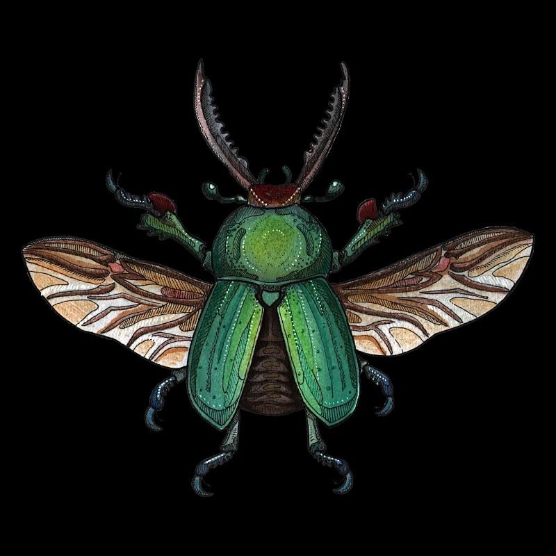 Big Green Beetle - coléoptère vert géant