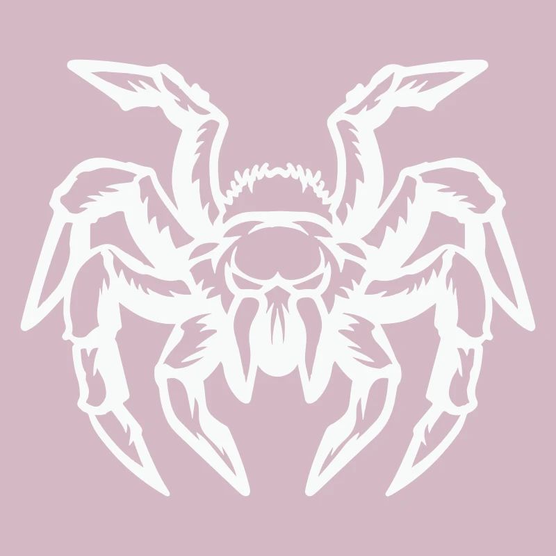 araignée