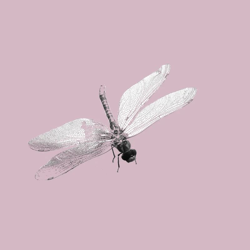 Libelle