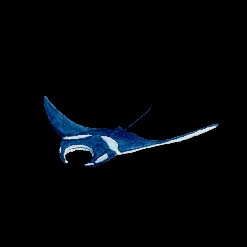 Manta ray