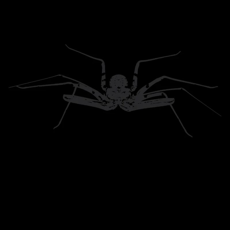 Geißelspinne - Amblypygi