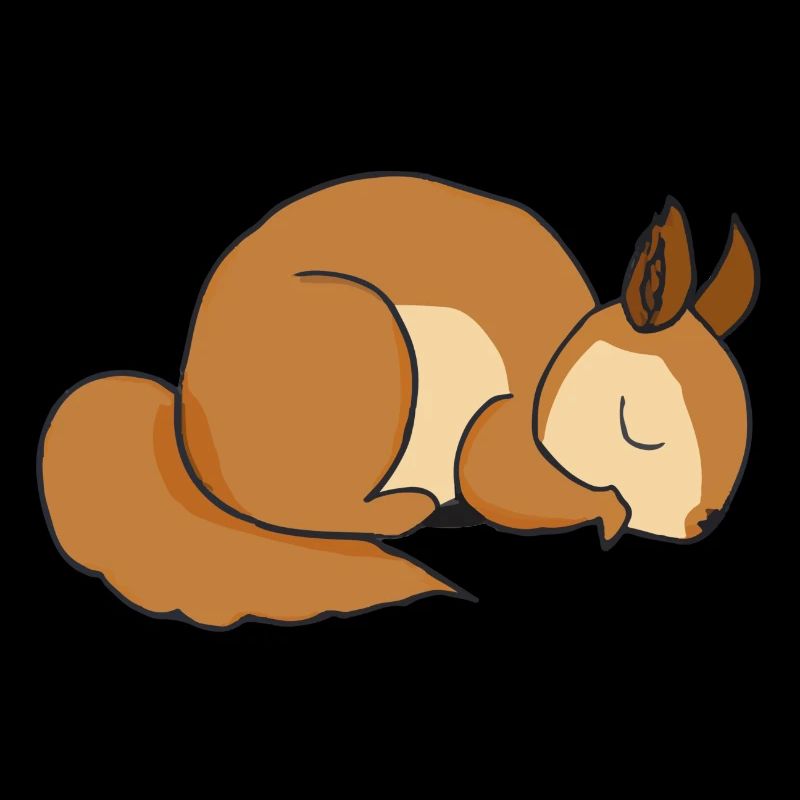 Sleeping Squirrel Gift Idea Pyjamas