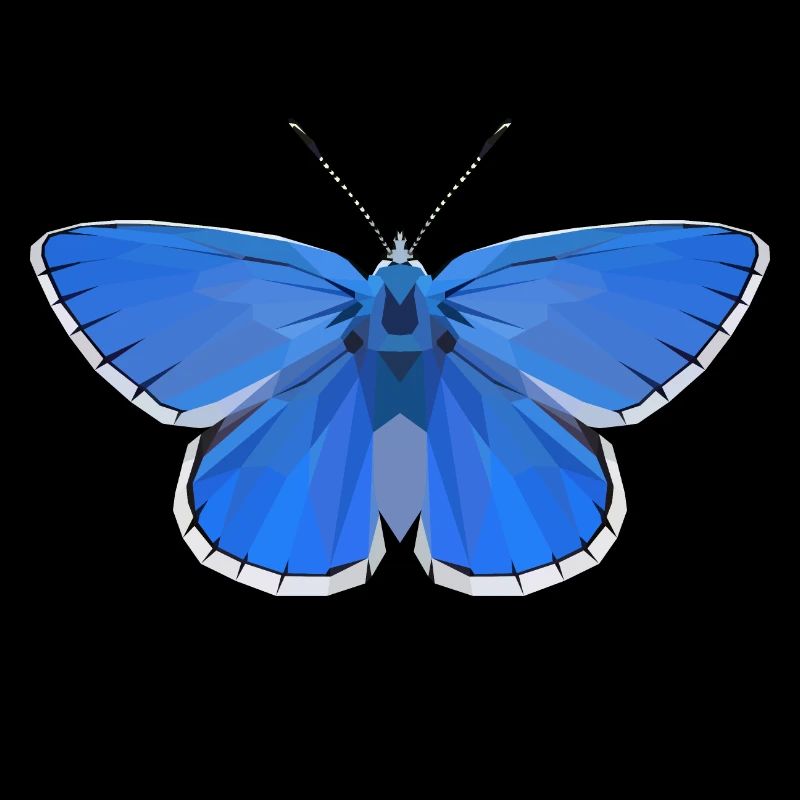 Adonis Blue