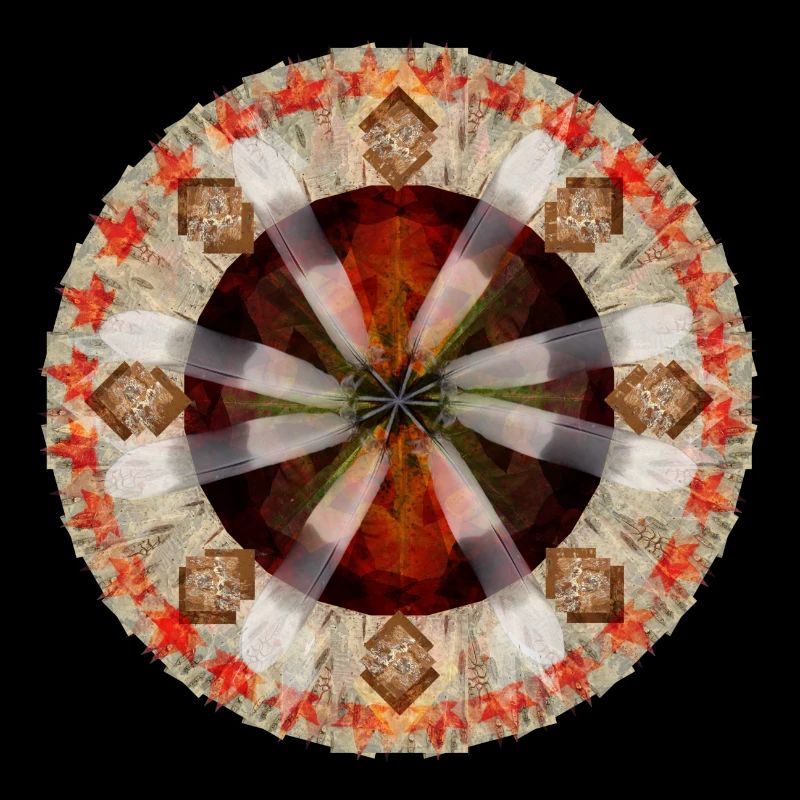 native medicine wheel