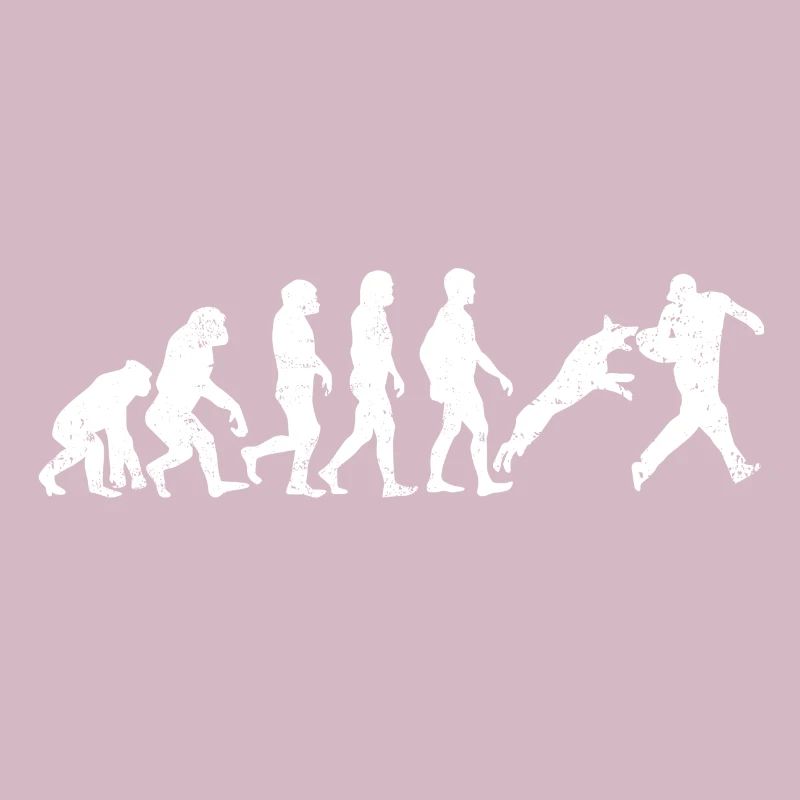 Evolution du Trainer Evolution