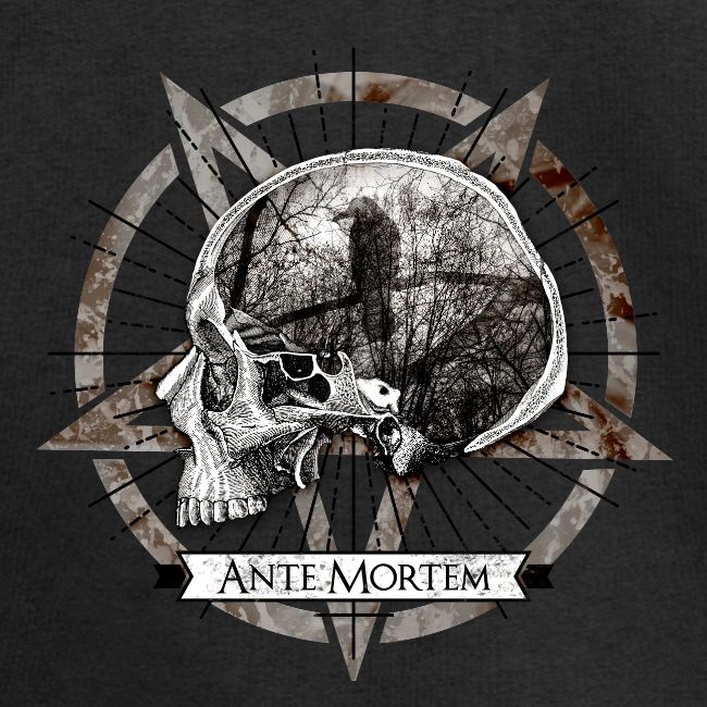 Ante Mortem Raven Skull