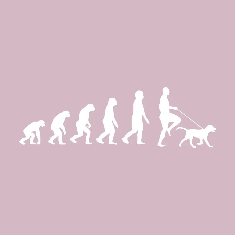 Labrador Evolution