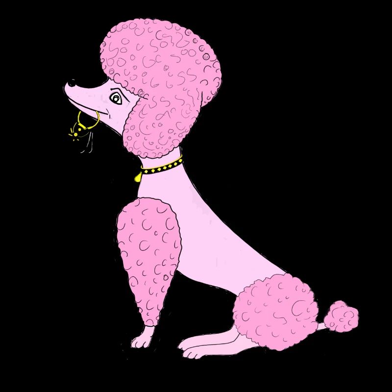caniche