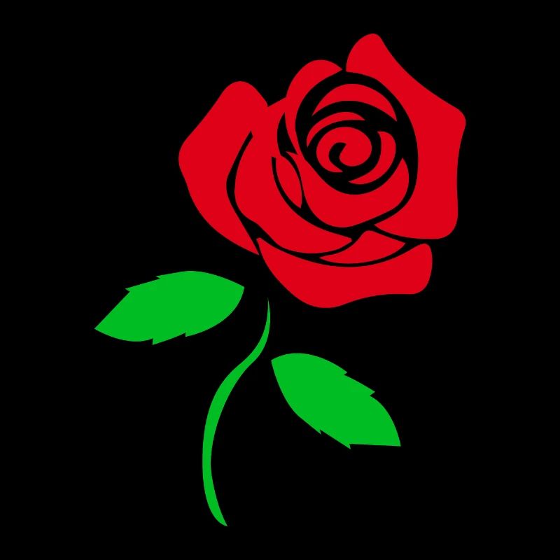 Blumen Rote Rose Romantische Geschenkidee