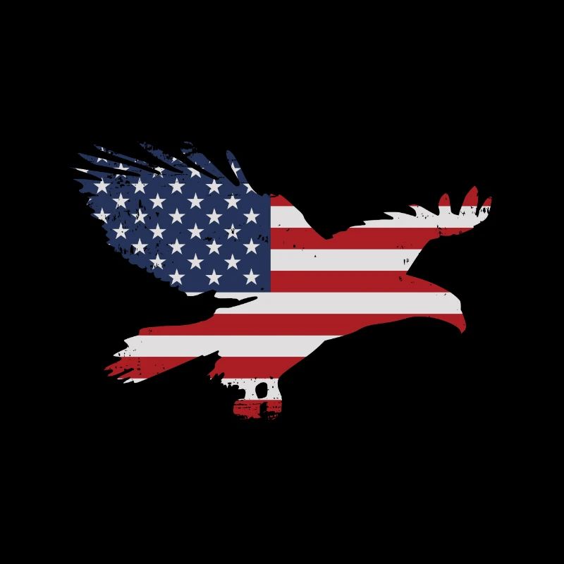 Drapeau Eagle USA