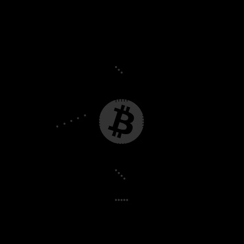 Bitcoin Network