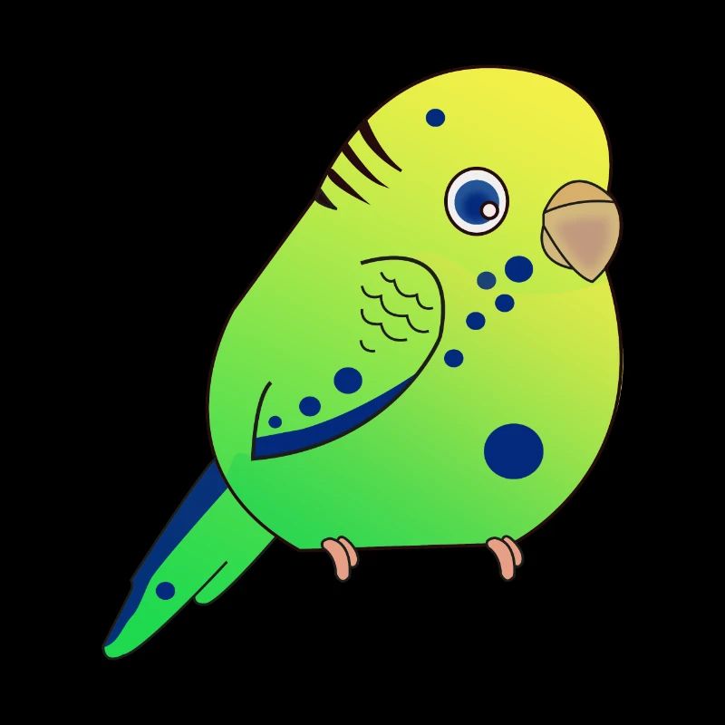 Budgerigar, Small Budgerigar
