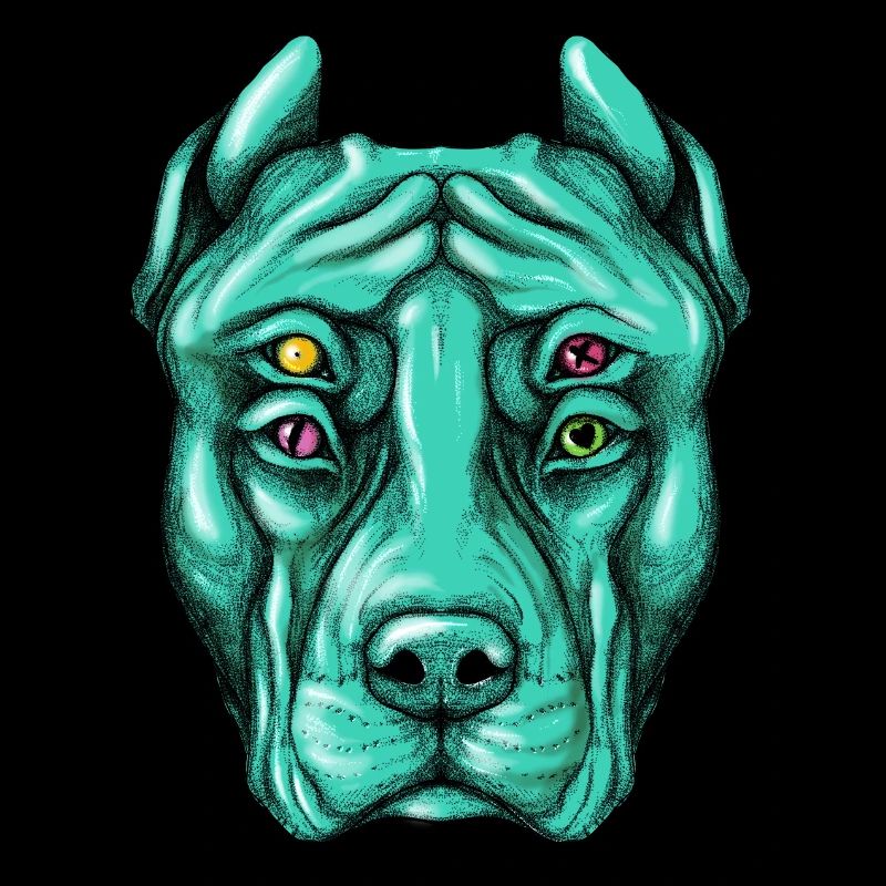 PitBull