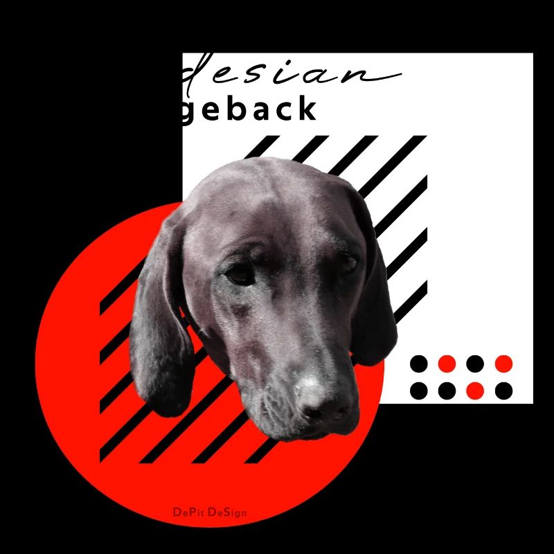 RR / Rhodesian Ridgeback