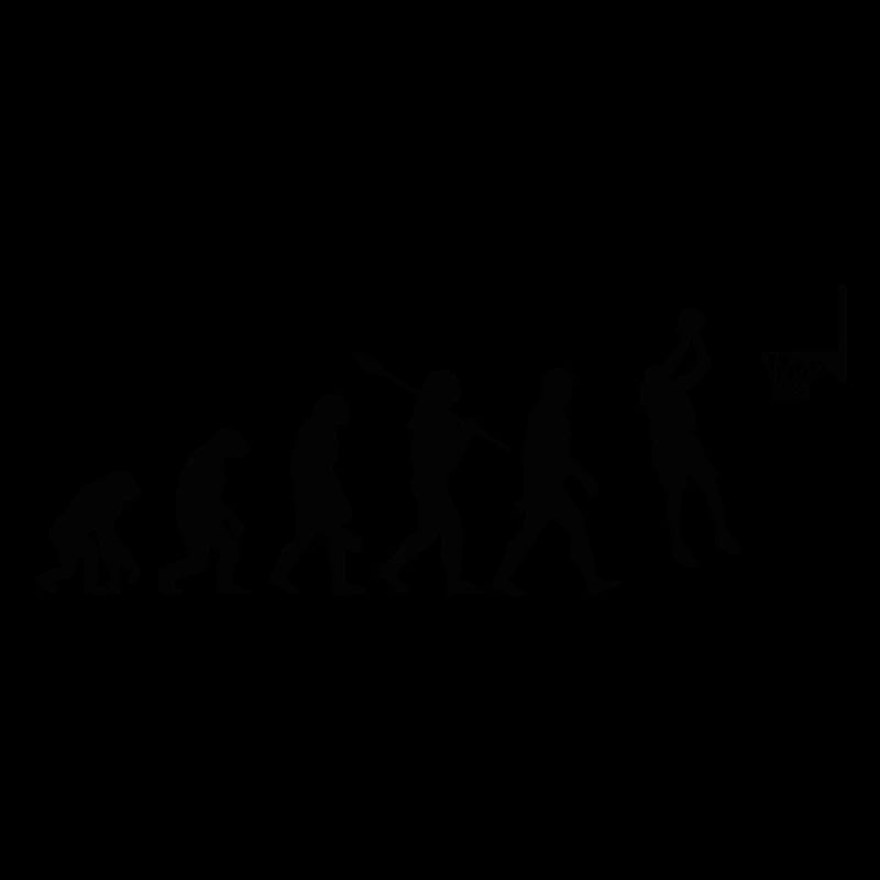 Basket évolution