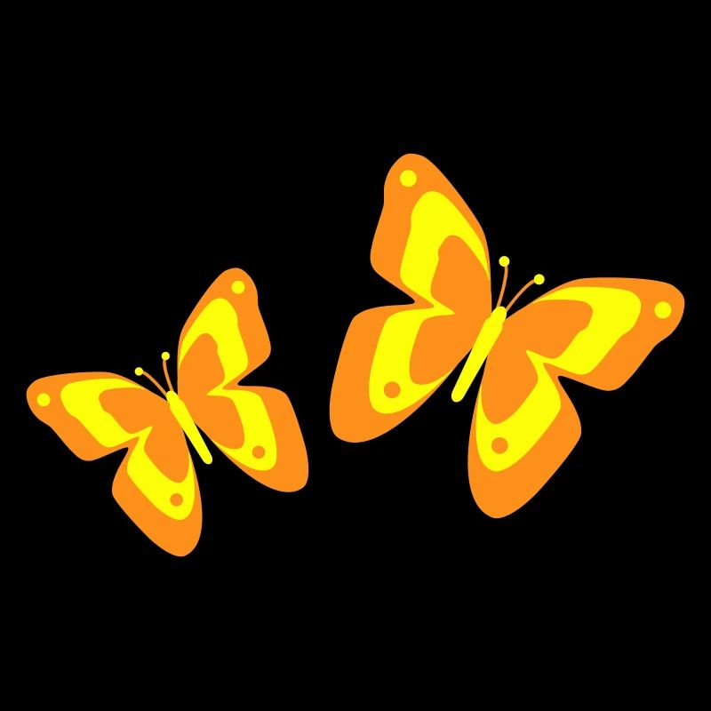 Butterfly Butterfly Insects Spring Summer colorful