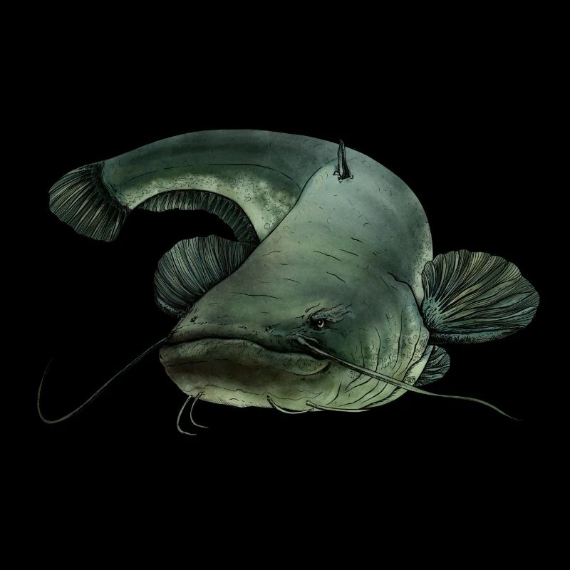 Catfish