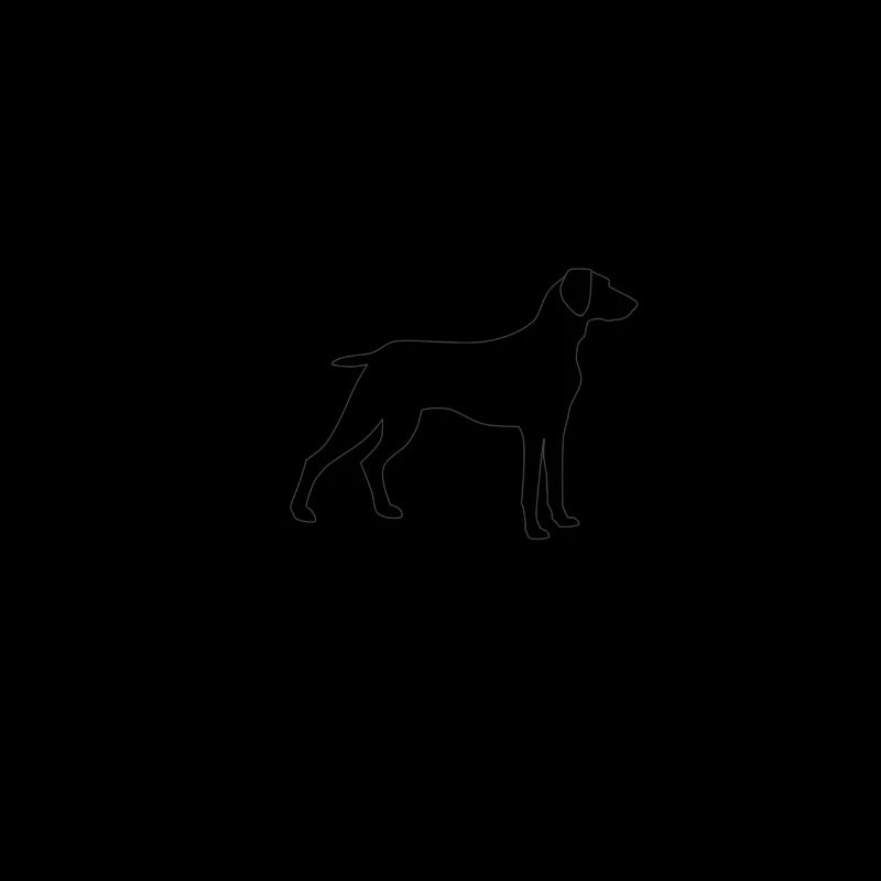 Weimaraner2