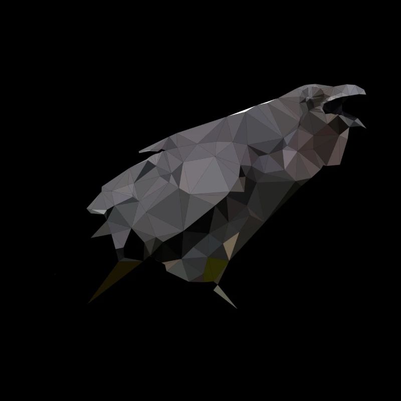 Polygon Krähe