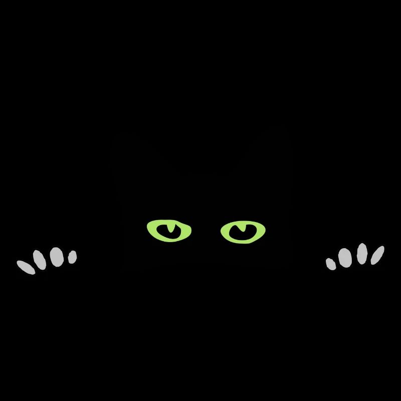 chat coucou