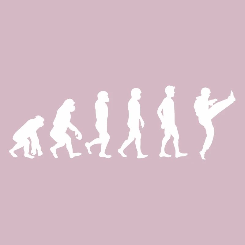 Evolution Karate