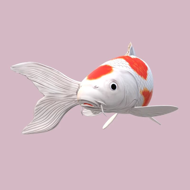 3D Koi