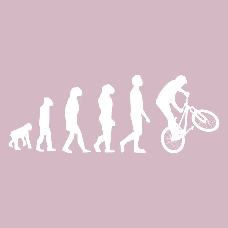 BMX EVOLUTION