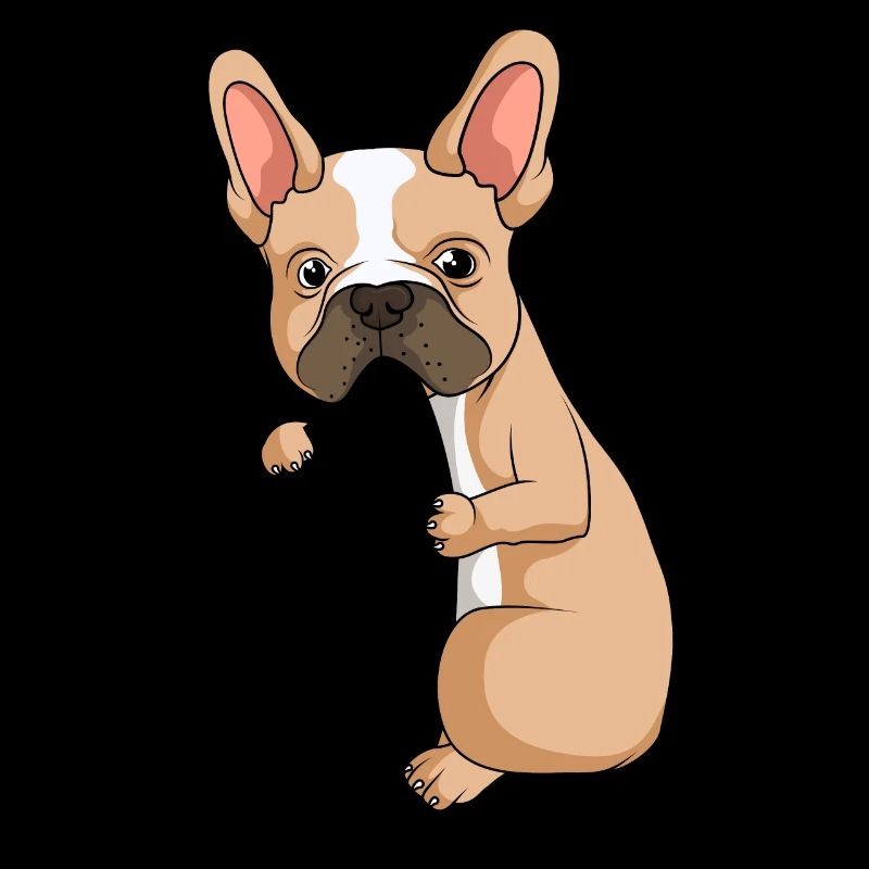 Français Bouledogue