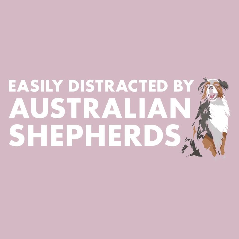 Dog Easily Distracted By Aussie