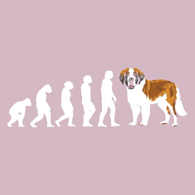 Evolution Saint-Bernard