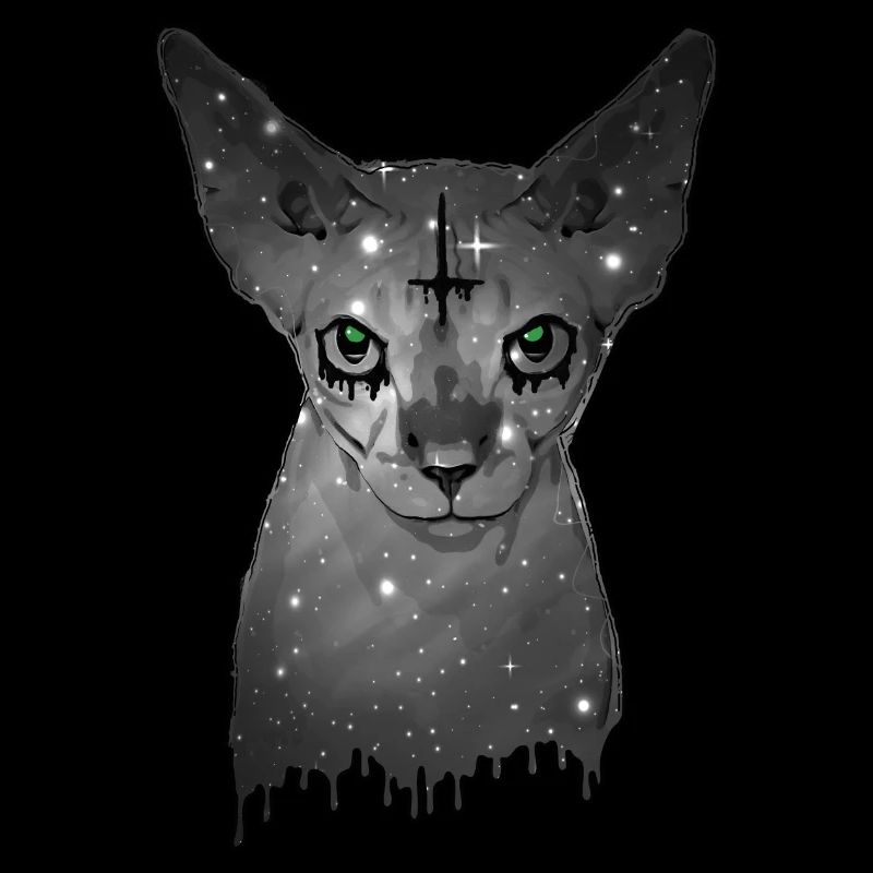 Ägyptische Katze Sphynx Cat