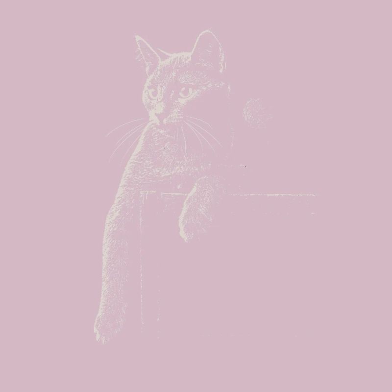 Karthäuser Katze