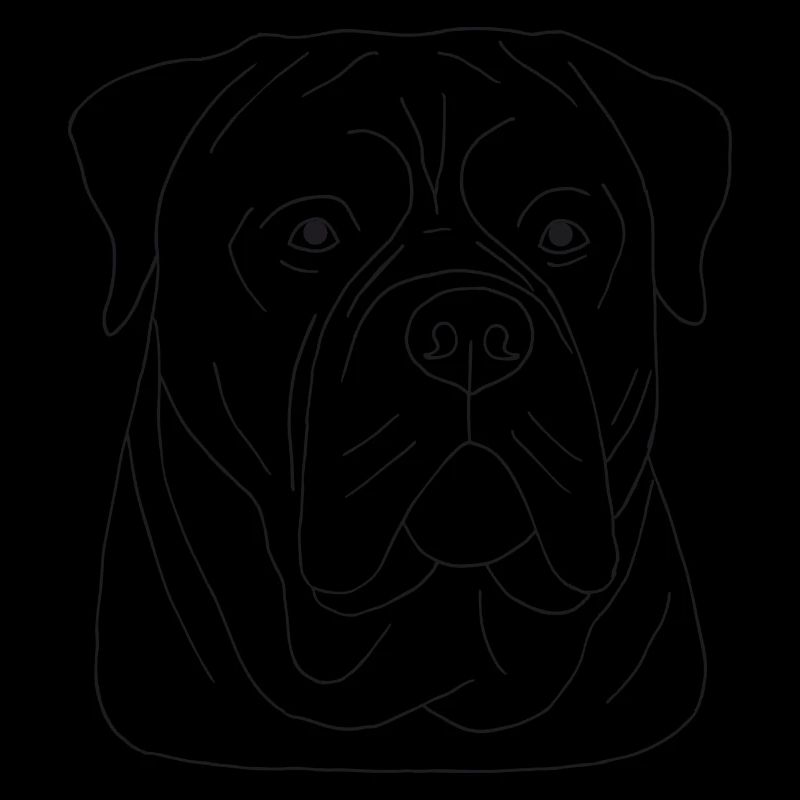 Bullmastiff Kopf