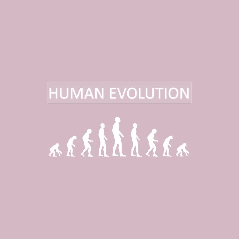 Human Evolution Funny