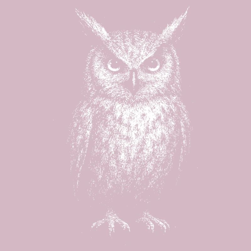 An eagle owl