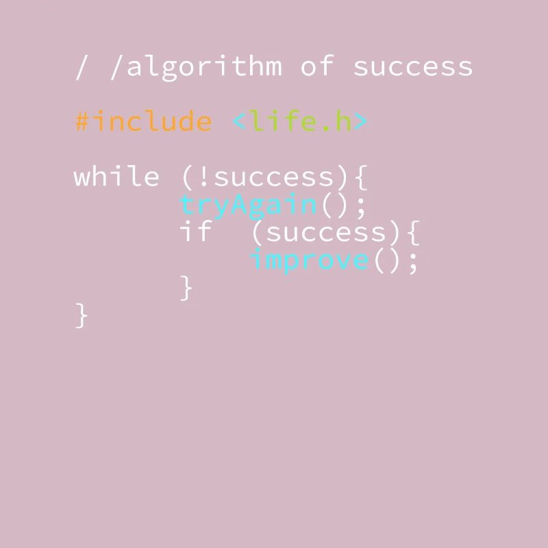 Entwickler Programmierer Erfolgs Code Coder