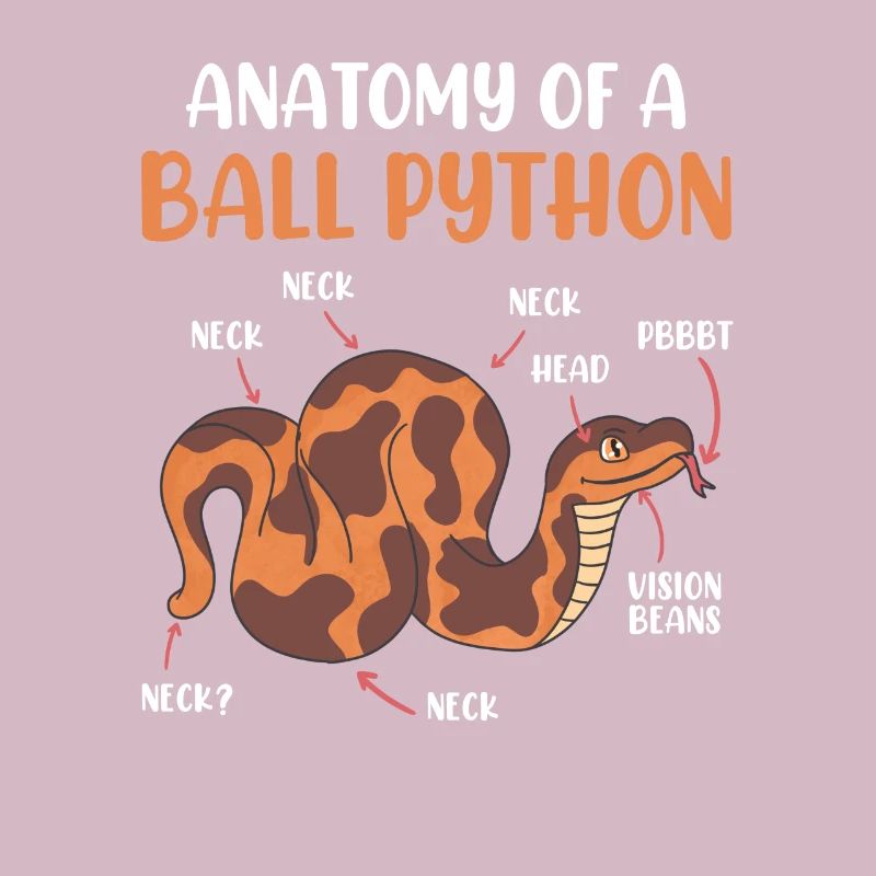 Snake Anotomy of a King Python Ball Python